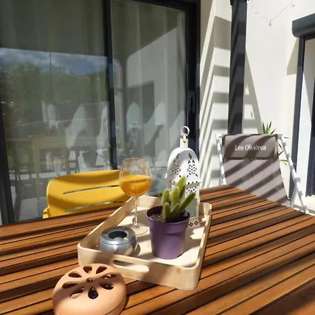Des Olivieres Holiday home